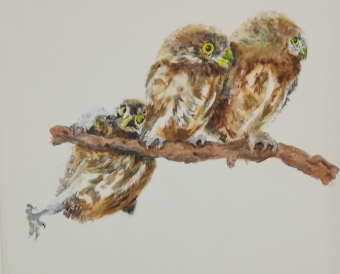 Bird - Owls - Two's Company - Image 2