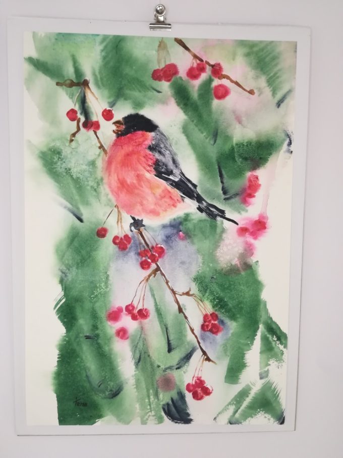 Bird - Red Bird in Berries