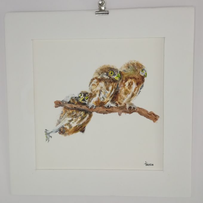Bird - Owls - Two's Company