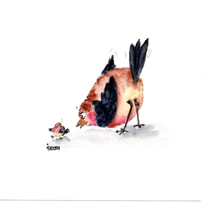 Bird - Cheeky Birds - Ticked Off