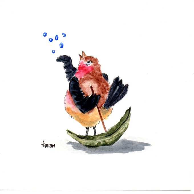 Bird - Cheeky Birds - Checking for Rain