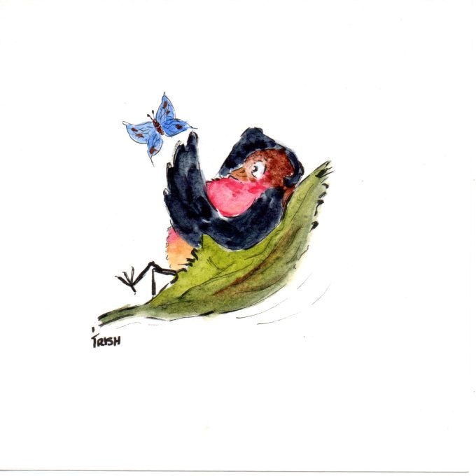 Bird - Cheeky Birds - Loafing in a leaf
