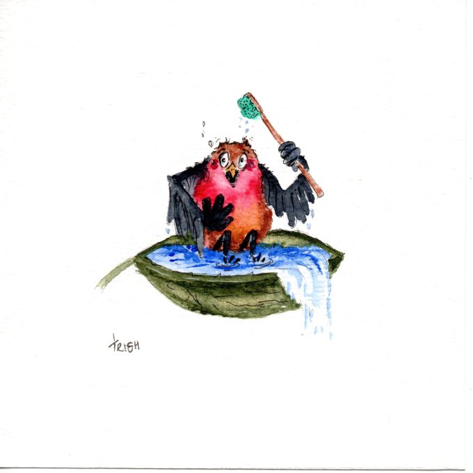 Bird - Cheeky Birds - Splish Splash
