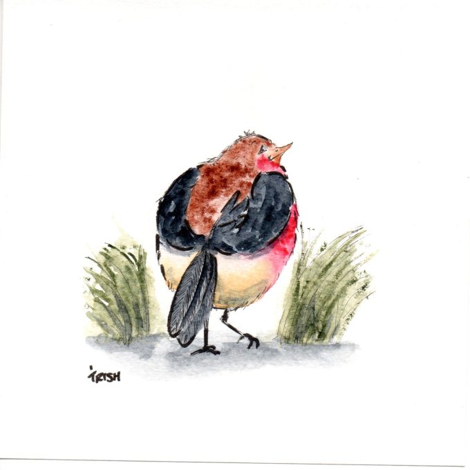 Bird - Cheeky Birds - The Stroller
