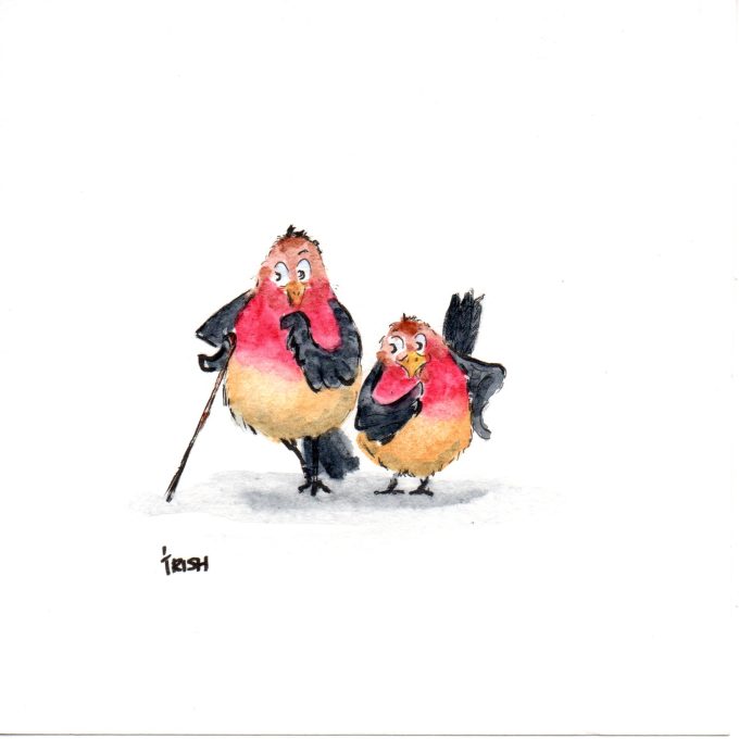 Bird - Cheeky Birds -The Gossips