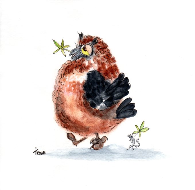 Bird - Quirky Owl - Hash and Tag