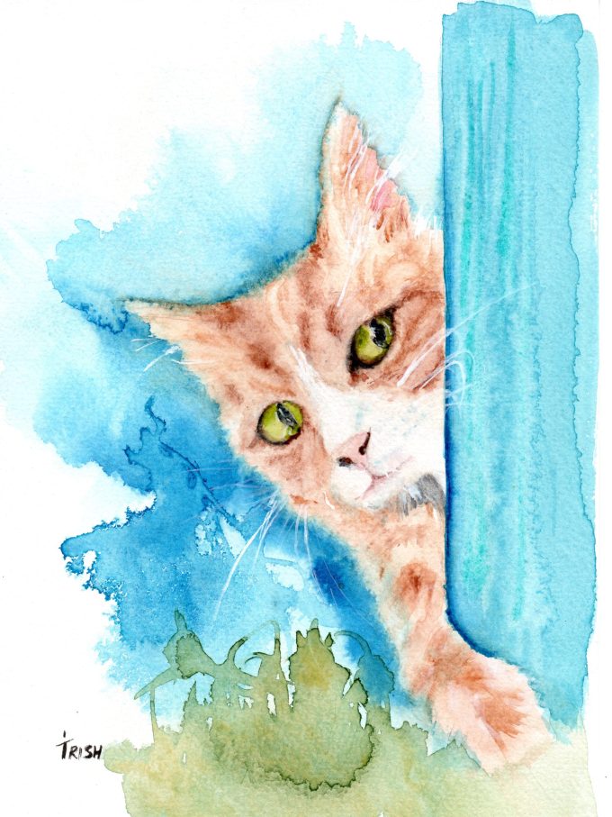 Cat - Ginger - Who goes there?