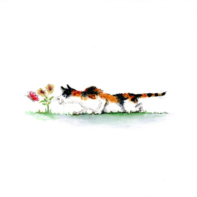 Cat - Rascal - Expectations